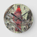 Search for cardinal clocks Northern