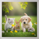 Search for fur posters Puppy