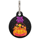 Search for halloween pet tags Pumpkin