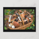 Search for edible postcards Forest