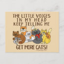 Search for funny cat sayings postcards Kitten