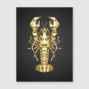 Search for boil magnets Crayfish