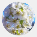 Search for pear wedding stickers Floral