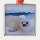 Search for arctic christmas tree decorations Animal