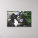 Search for boxer dog canvas prints Standing