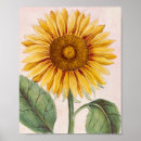 Search for happy sunflowers posters Bright