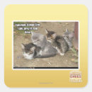 Search for conga stickers I can has cheezburger