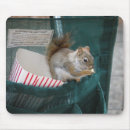 Search for squirrels mousepads Wildlife