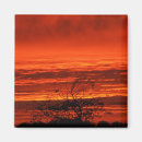 Search for cork magnets Sunset