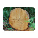 Search for tree trunks magnets Trees