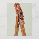 Search for nutcracker postcards Collection