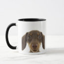 Search for wiener dog mugs Animal
