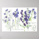 Search for poison posters Poisonous plants