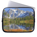 Search for public land cases Forest