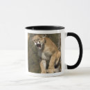 Search for mary ann mcdonald mugs Big cat