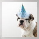Search for animals wearing clothes posters Cute