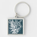 Search for coral sea key rings Sealife