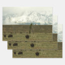 Search for bison wrapping paper Nature