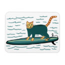 Search for cat magnets Kitten