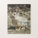 Search for rabbit puzzles Bunnies