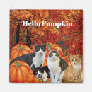 Search for patch magnets Autumn