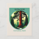 Search for redwood national park postcards Vintage
