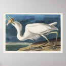 Search for audubon posters John james audubon
