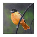 Search for oriole tiles Bird