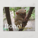Search for bohol Filipino