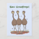 Search for emu postcards Outback