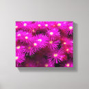 Search for aster art Daisies