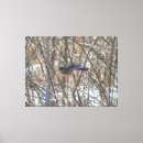 Search for robin bird canvas prints Winter