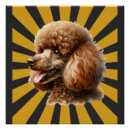 Search for standard poodle art Puppy