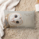 Search for barn owls cushions Cute