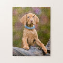 Search for vizsla dog puzzles Puppy