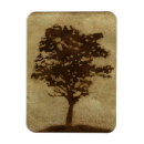 Search for bronze magnets Modern