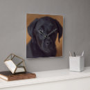 Search for black labrador clocks Dog