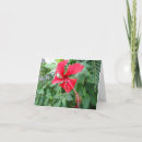 Search for flora cards Red