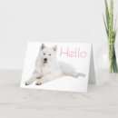 Search for samoyed dog cards Puppies