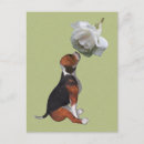 Search for beagles postcards Puppy