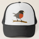 Search for branch hats Bird
