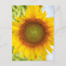 Search for helene cards Flowers