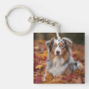 Search for australian shepherd key rings Pet
