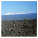 Search for lava tiles Volcano
