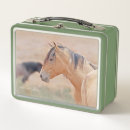 Search for horse lunch boxes Stallion