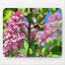Search for bumble bee mousepads Garden