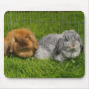 Search for easter bunny mousepads Pet