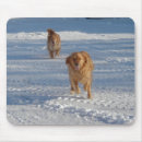 Search for golden retriever mousepads Winter