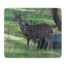 Search for deer cookware Wildlife