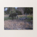 Search for longhorn puzzles Farm